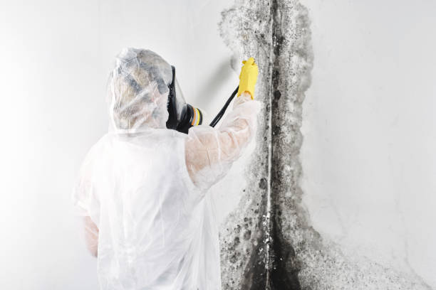 24/7 water damage repair in Northfield, MN